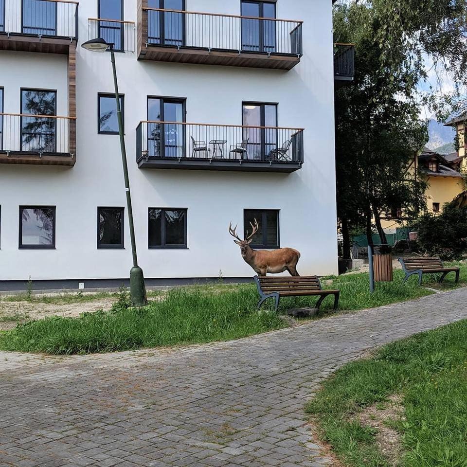 Apartman Hory - V Srdci Tatier Vysoké Tatry Exterior foto